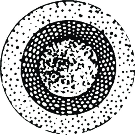 Landspace Logo
